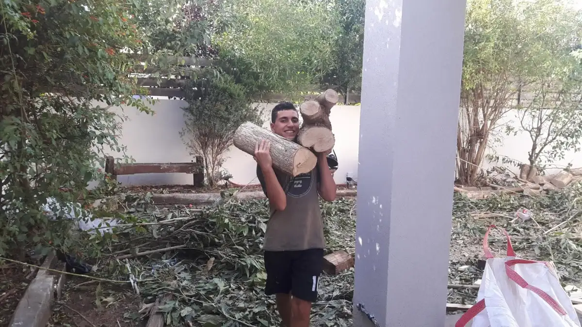 עובד נושא בולי עץ על הכתף בגינה מכוסה בענפים שנגזמו, לצד שק פינוי לבן