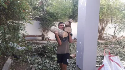 עובד נושא בולי עץ על הכתף בגינה מכוסה בענפים שנגזמו, לצד שק פינוי לבן