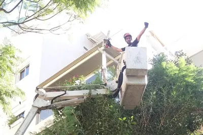 עובד עם קסדה בסל של במת הרמה, מעל עץ צפוף שצמוד לבניין מגורים