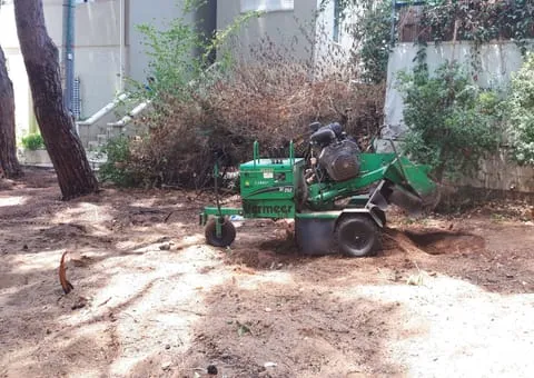 מכרסמת גדמים Vermeer SC252 עומדת על מדרך חנייה מרוצף, לצד ערמת שבבי עץ טריים שנוצרו בכרסום