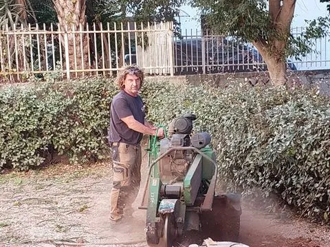 קובי מפעיל מכרסמת גדמים ליד גדר ברזל וגדר חיה, ענן אבק עולה מהעבודה